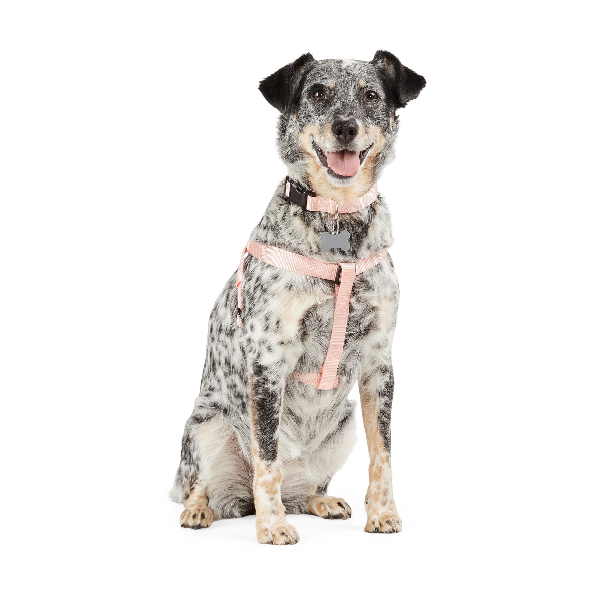 Youly 3877334 Dog-Collars-Harnesses - View #3