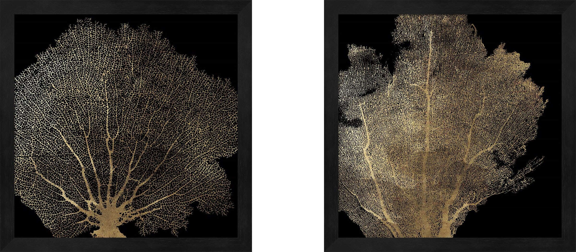 Metaverse Corporation PLI761641 Honeycomb Coral I and Ii Aimee Wilson Black Framed 13.25-in H x 13.25-in W Coastal Paper Print