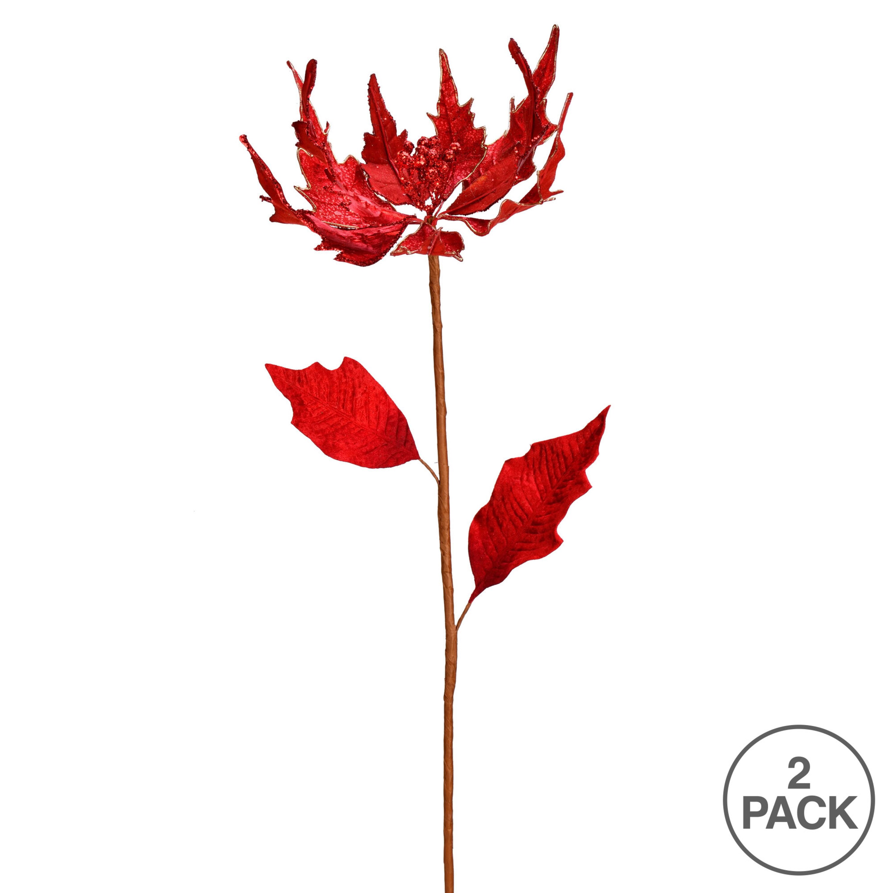 Vickerman RX193503 Christmas-Picks-Clips - View #3