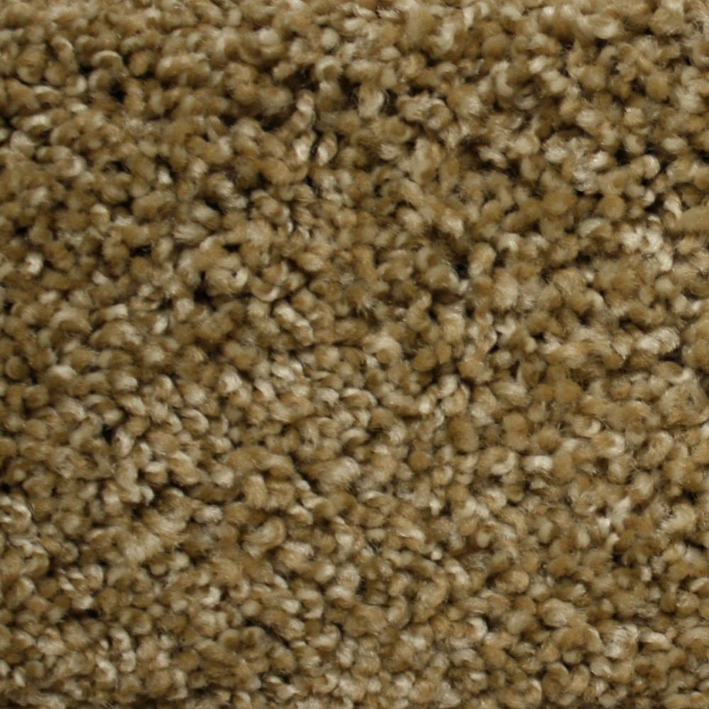 STAINMASTER FB030-406-1200-AB (Sample) PetProtect Lexington World Class Textured Carpet