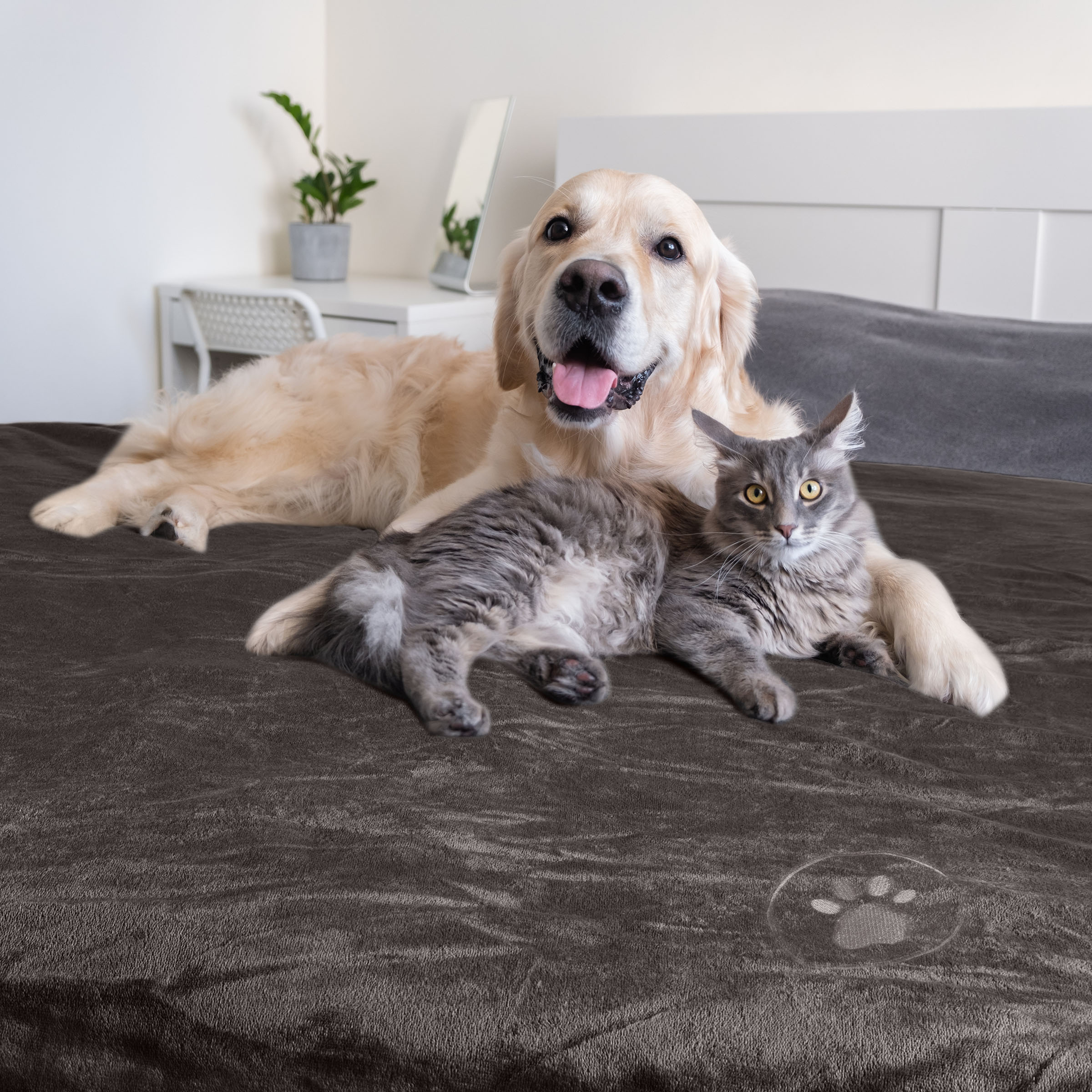 PETMAKER 848534VIQ Pet-Beds - View #8