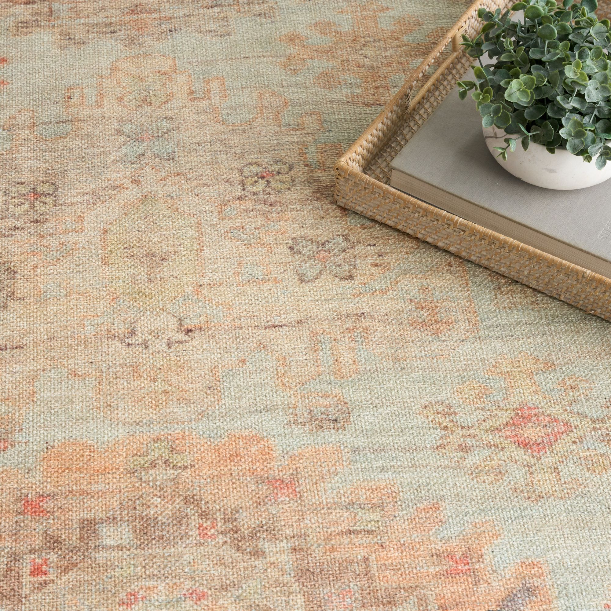 Nourison 841491155226 rugs - View #3