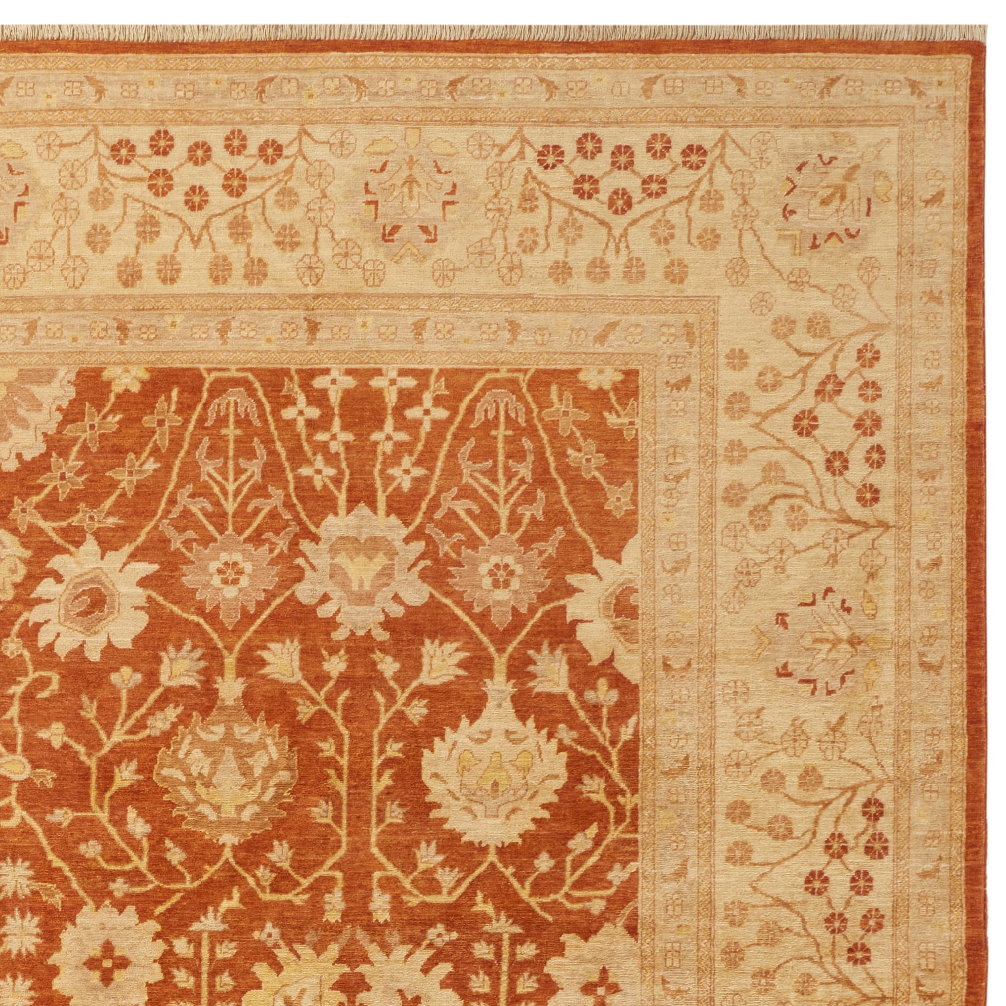 Safavieh P244B-1218 rugs - View #4