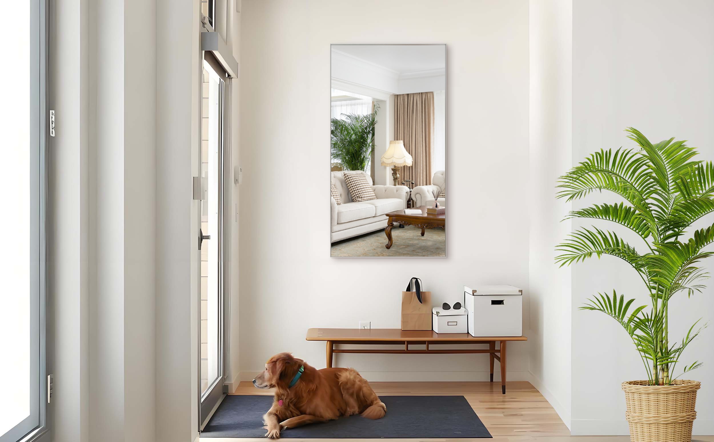 LUXEYARD 55x30 Oversized Modern Rectangle Bathroom Mirror Silver Frame Wall Mounted Aluminum Frame