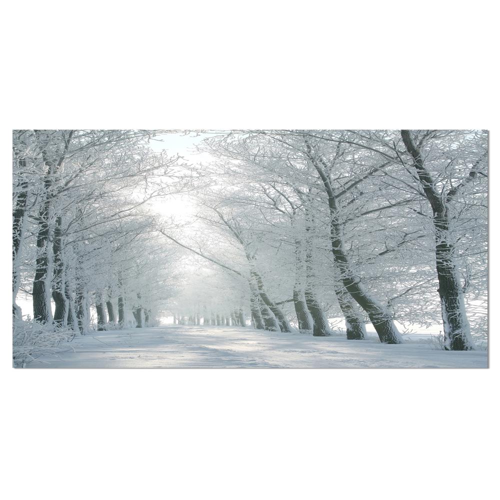 Winter Wonderland Forest Canvas Art Print