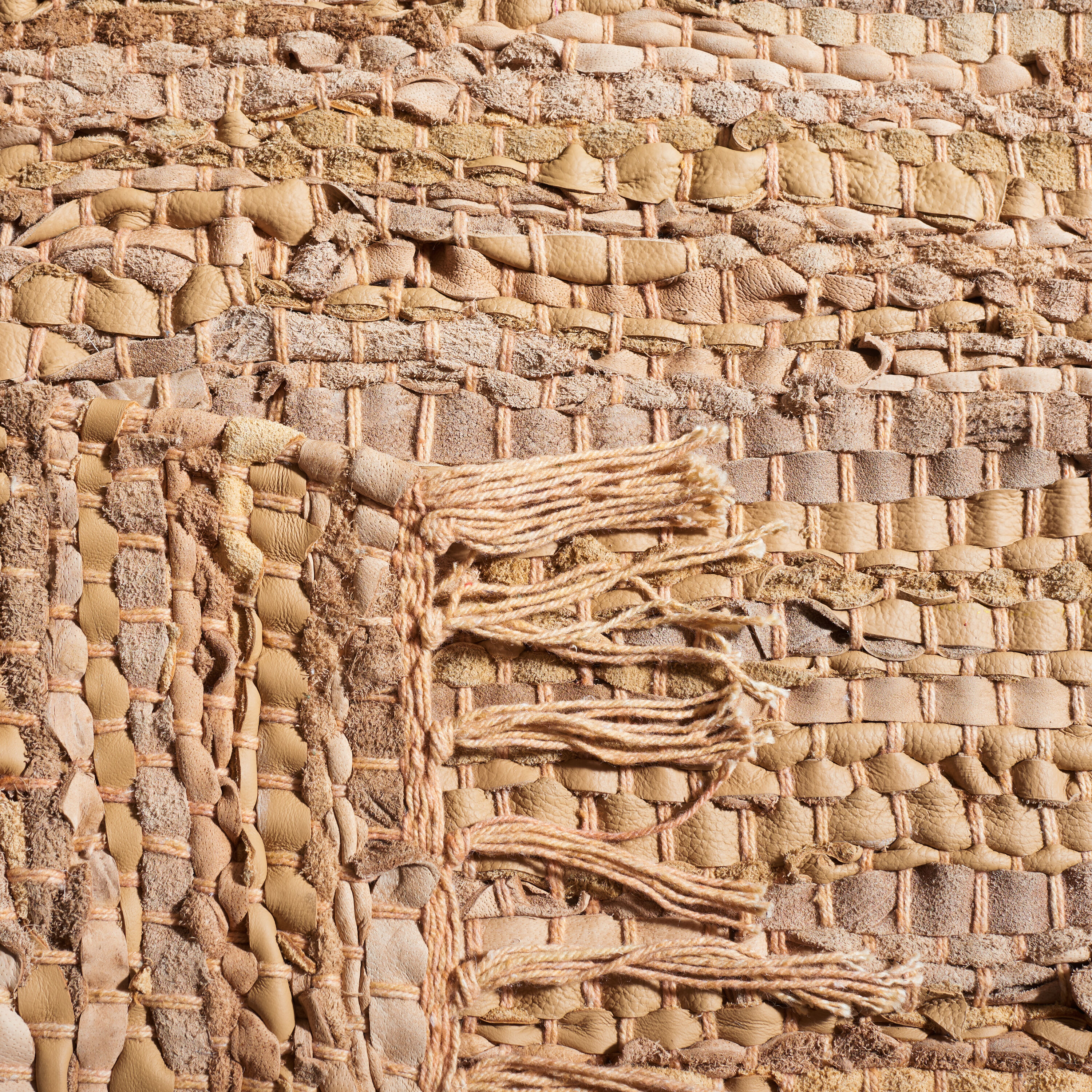 Safavieh VTL501D-29 rugs - View #3