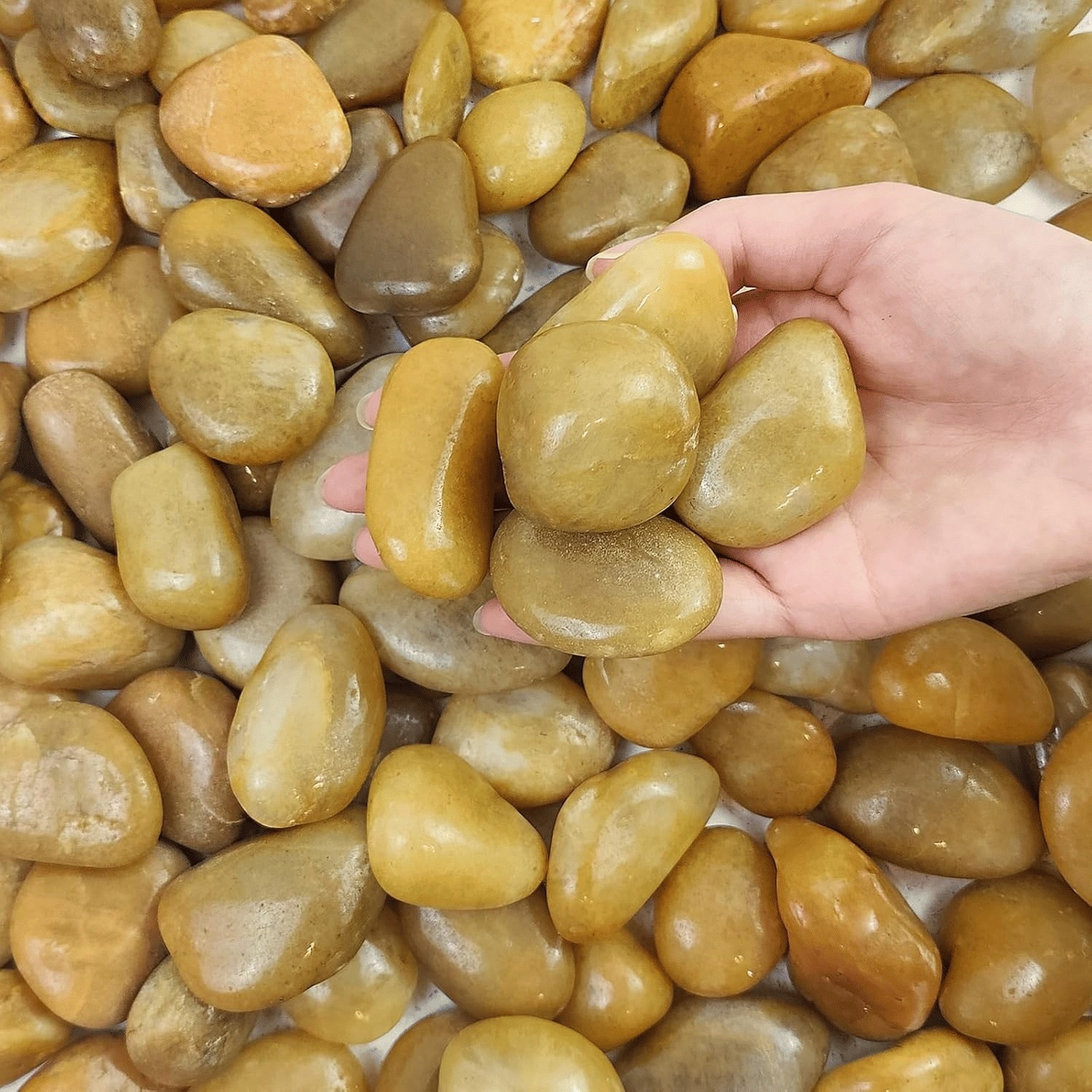 Angel Sar - 38 LBS Khaki Polished River Rocks 2-3 Inch for Indoor Outdoor Plant Vase Aquarium Gar...