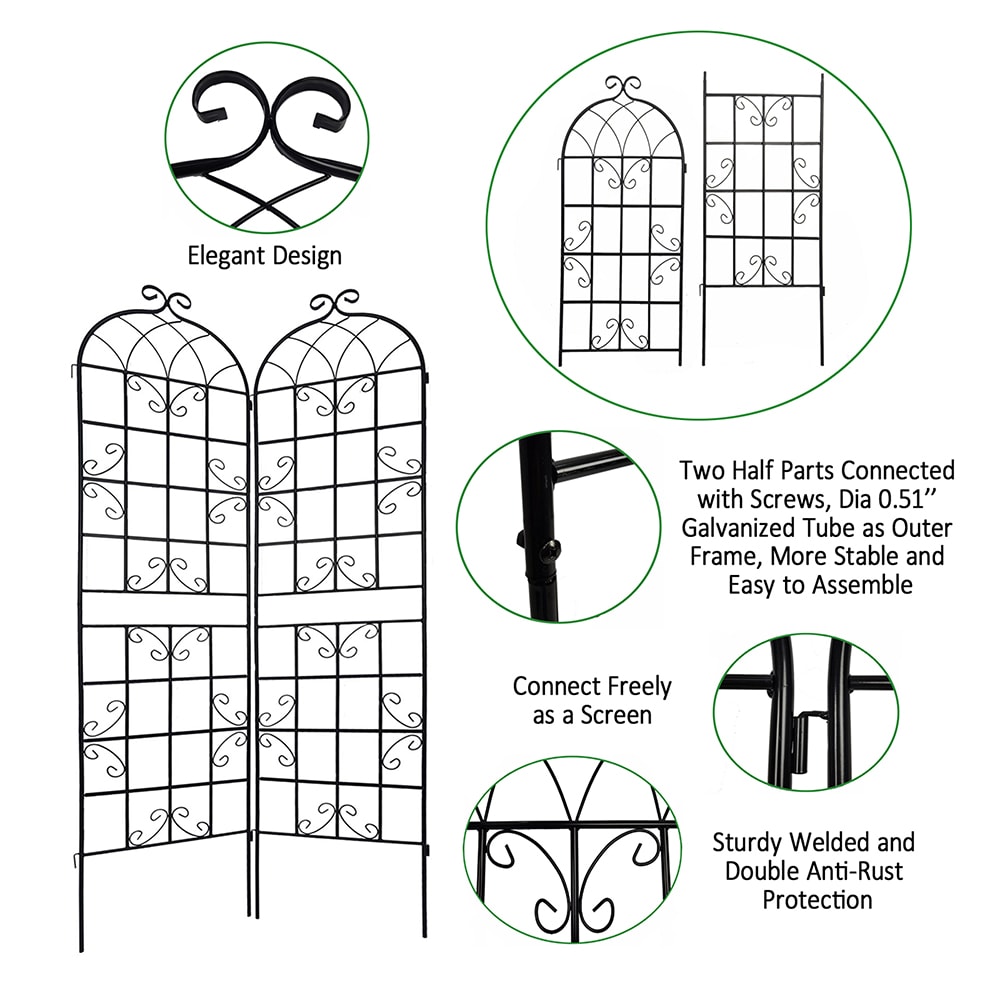 Topcraft 40-in W x 86.7-in H Black Steel Scroll Garden Trellis (2-Pack ...