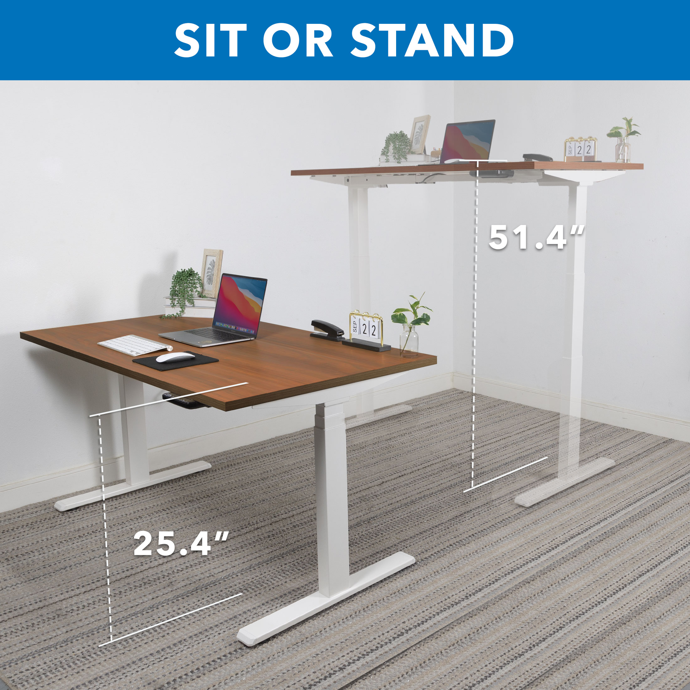 ErgoMaster Pro White Electric Sit/Stand Desk with Brown Top and Dual Motor
