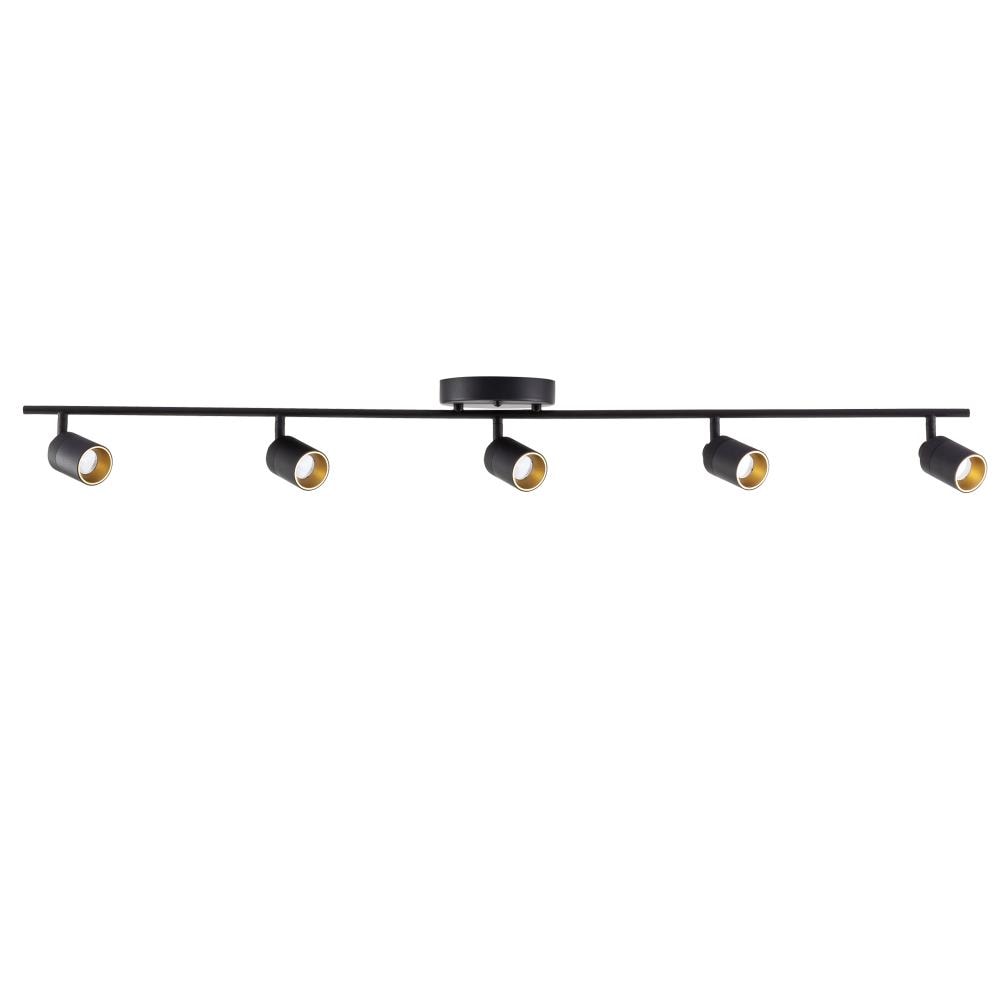 houder blauwe vinvis natuurpark VidaLite 6.69-in 5-Light Black dimmable Integrated Modern/Contemporary  Flush Mount in the Fixed Track Lighting Kits department at Lowes.com