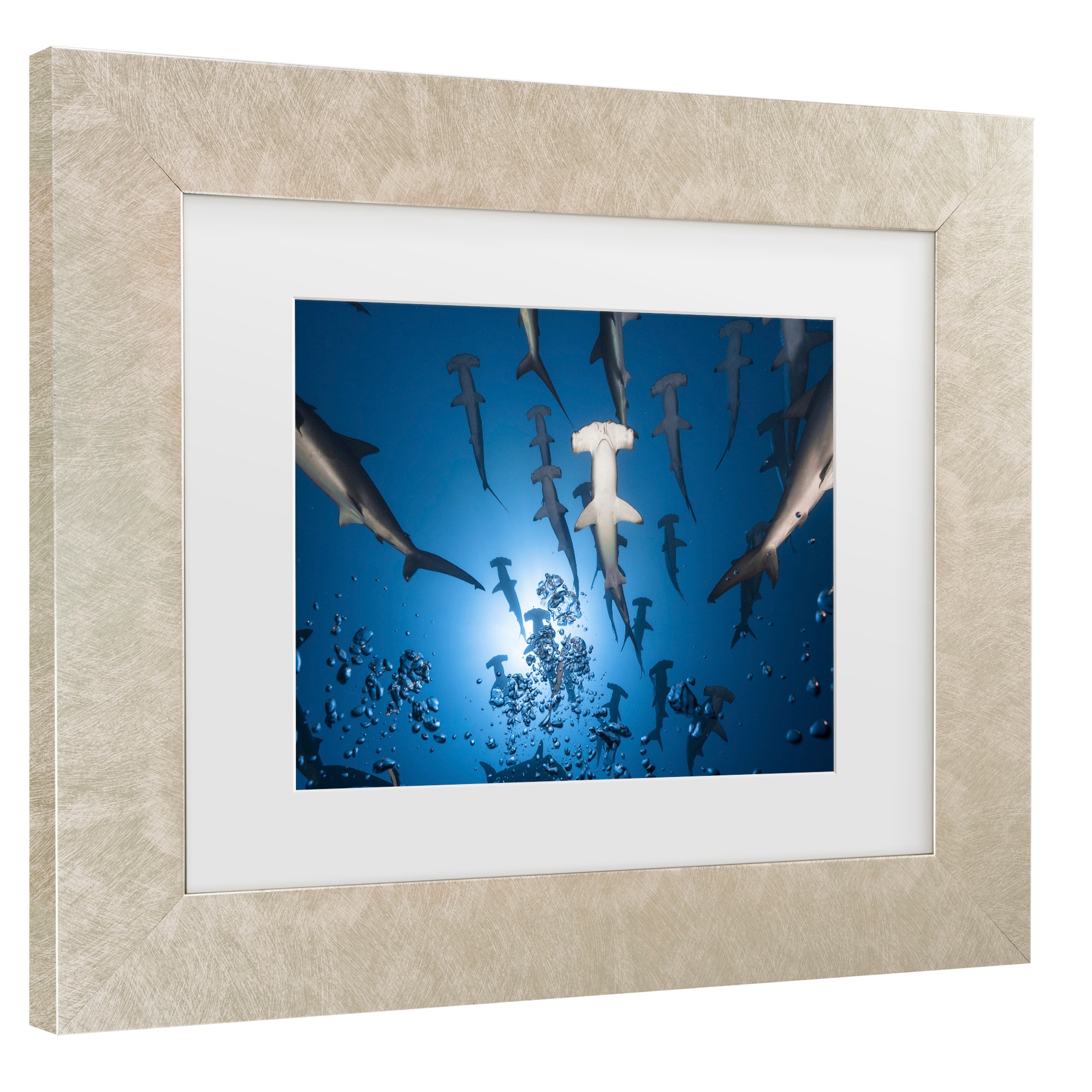 Trademark Fine Art 1X10907-C1620MF Wall-Art - View #3