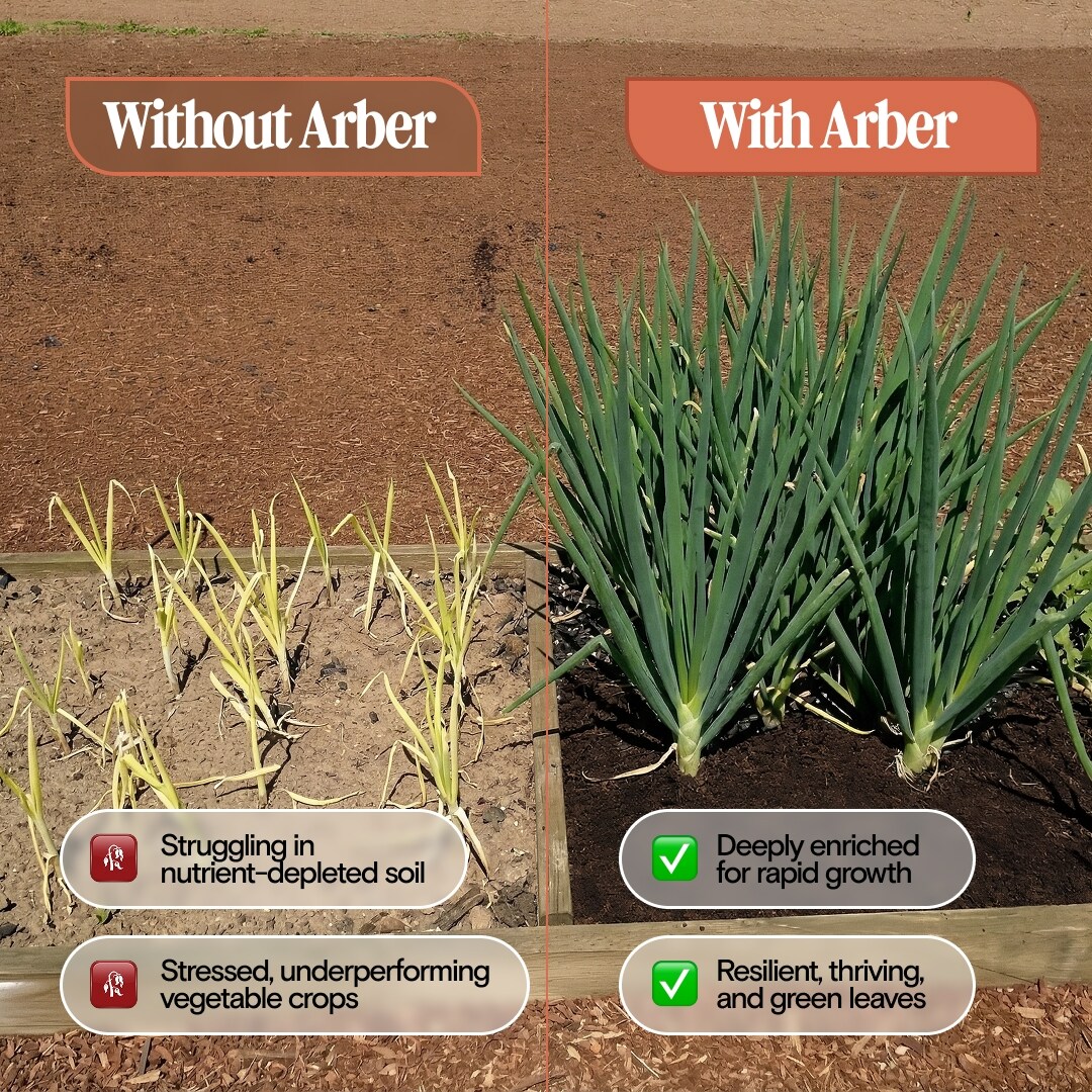 ARBER 2-675958-2 Plant-Food - View #2