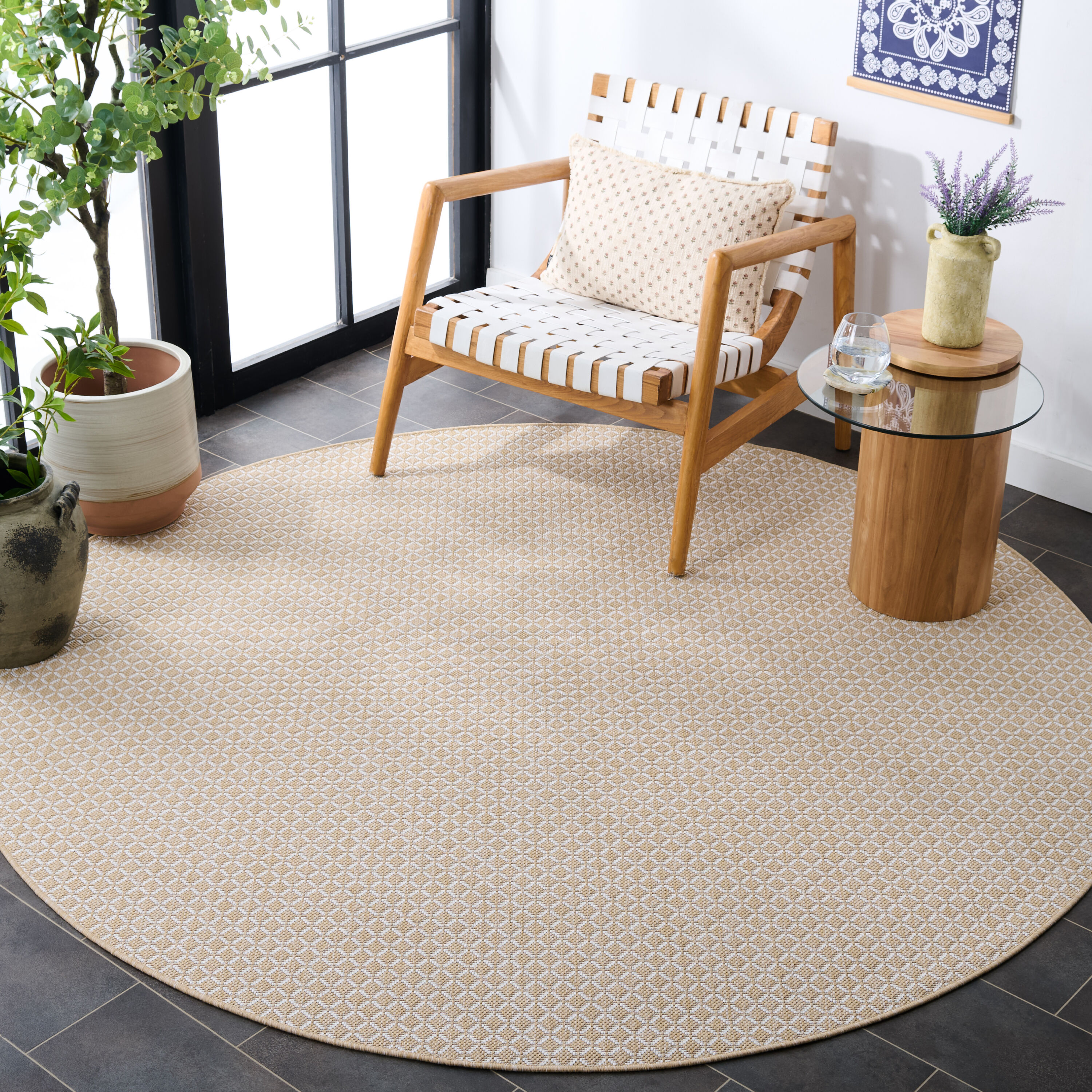 Safavieh TER804B-7R rugs - View #3