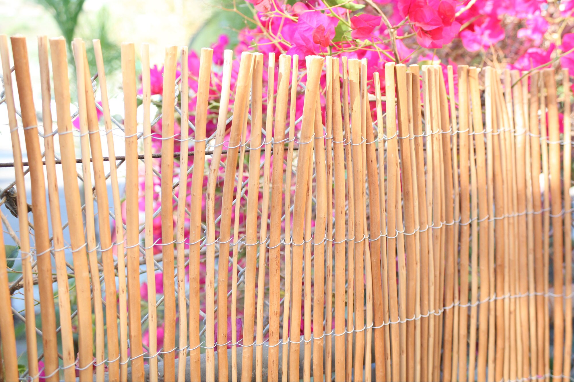 Backyard X-Scapes 20-WP68 Wood-Fence-Panels - View #6