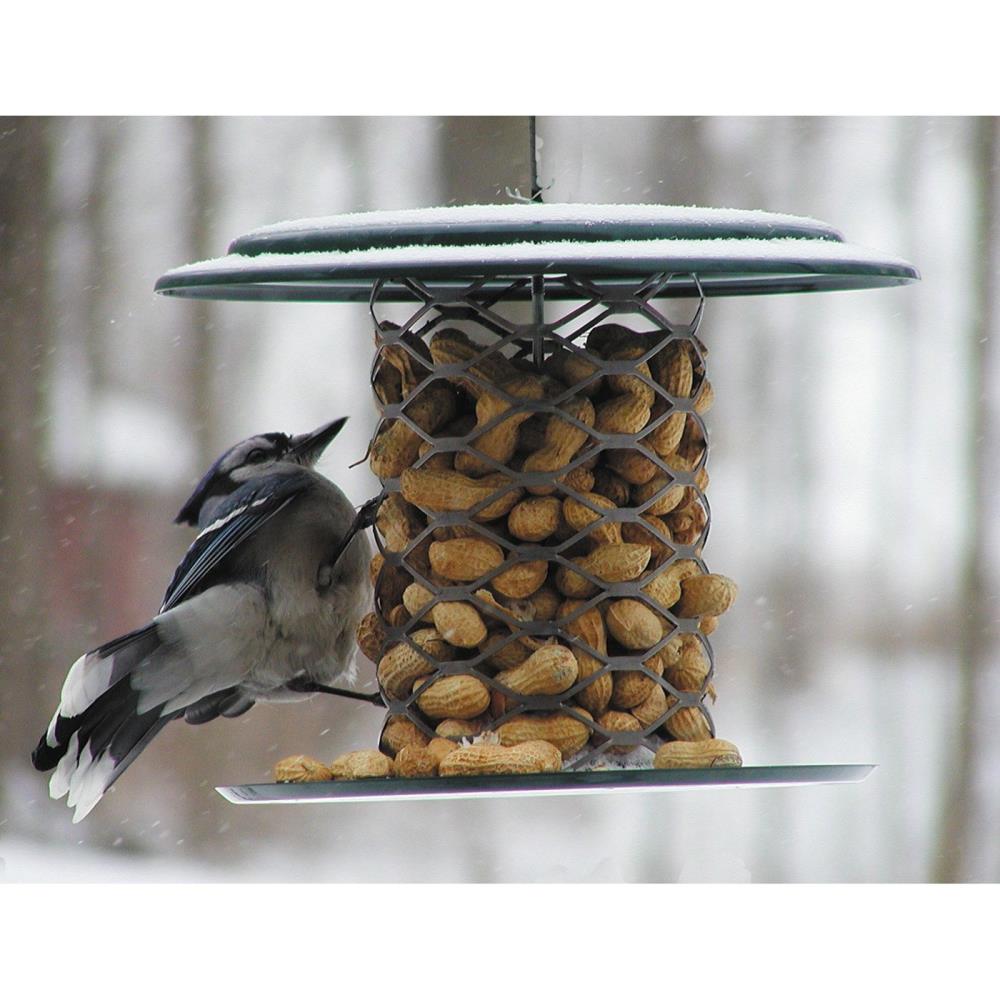 BIRDS CHOICE undefined in the Bird Feeders department at Lowes.com