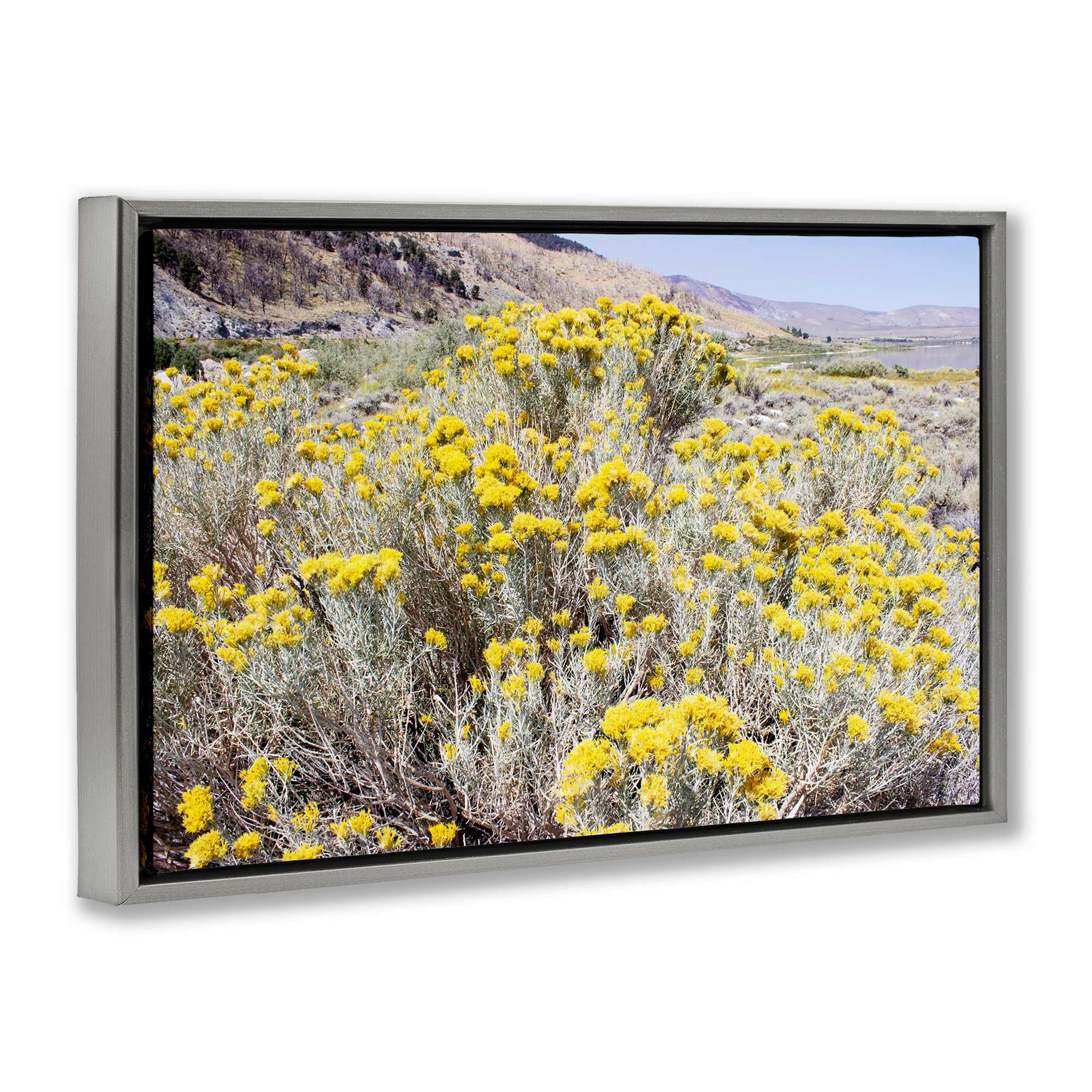 Stupell Industries BU-139-FFL-20X30 Wall-Art - View #2