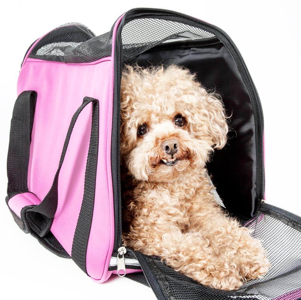 Pet Life 21-in x 9.6-in x 13-in Pink Collapsible Nylon Small Dog