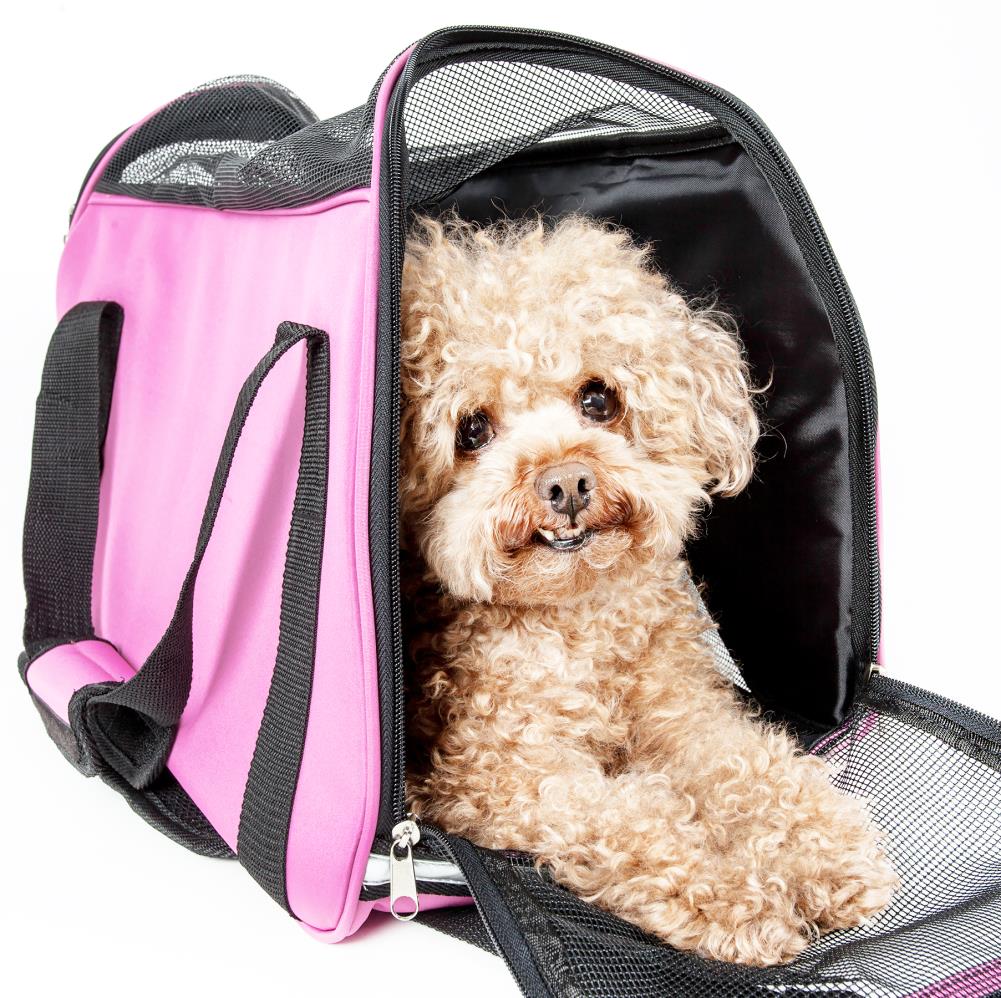 Pet Life 21-in x 9.6-in x 13-in Pink Collapsible Nylon Small Dog/Cat Bag in  the Pet Carriers department at