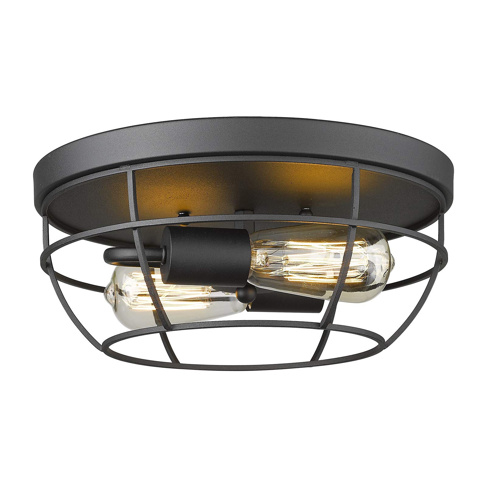 LTMATE LSYE223F BK JAZAVA 2 -Light 11.8-in Matte Black Flush Mount Light