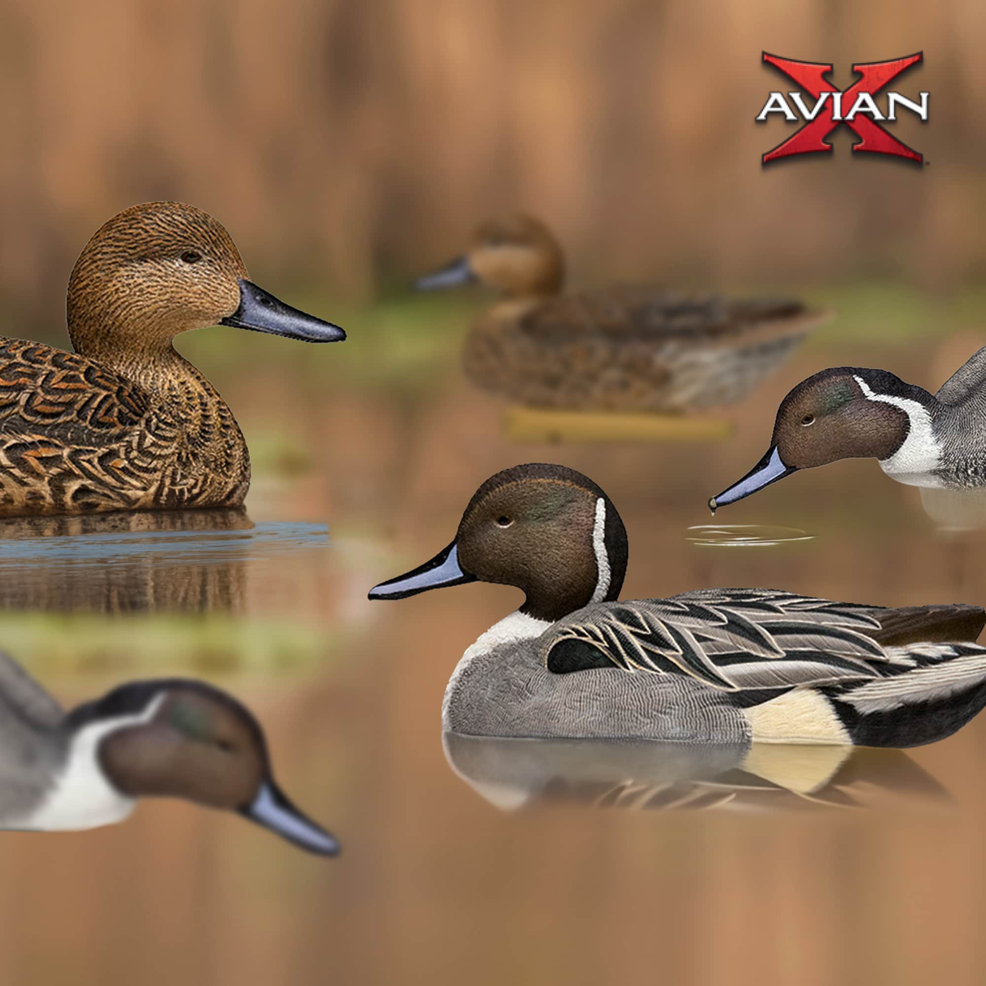  Avian X 399269 Hunting-Equipment - View #6