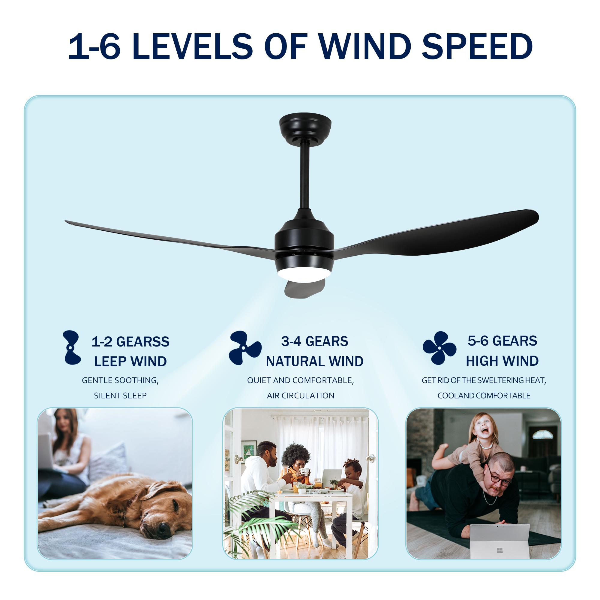 Bayfeve BF-419974-MP Ceiling-Fans - View #5