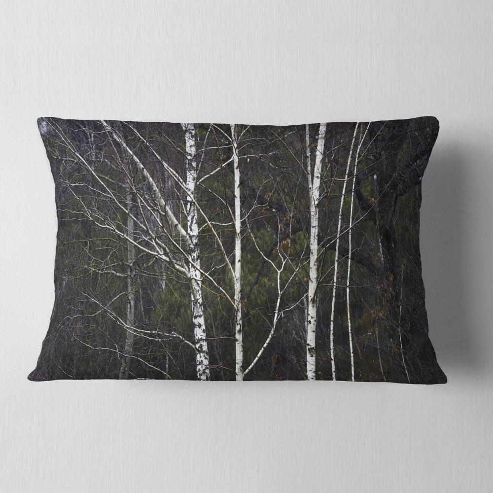 Designart CU16435-12-20 12-in x 20-in Black Indoor Decorative Pillow