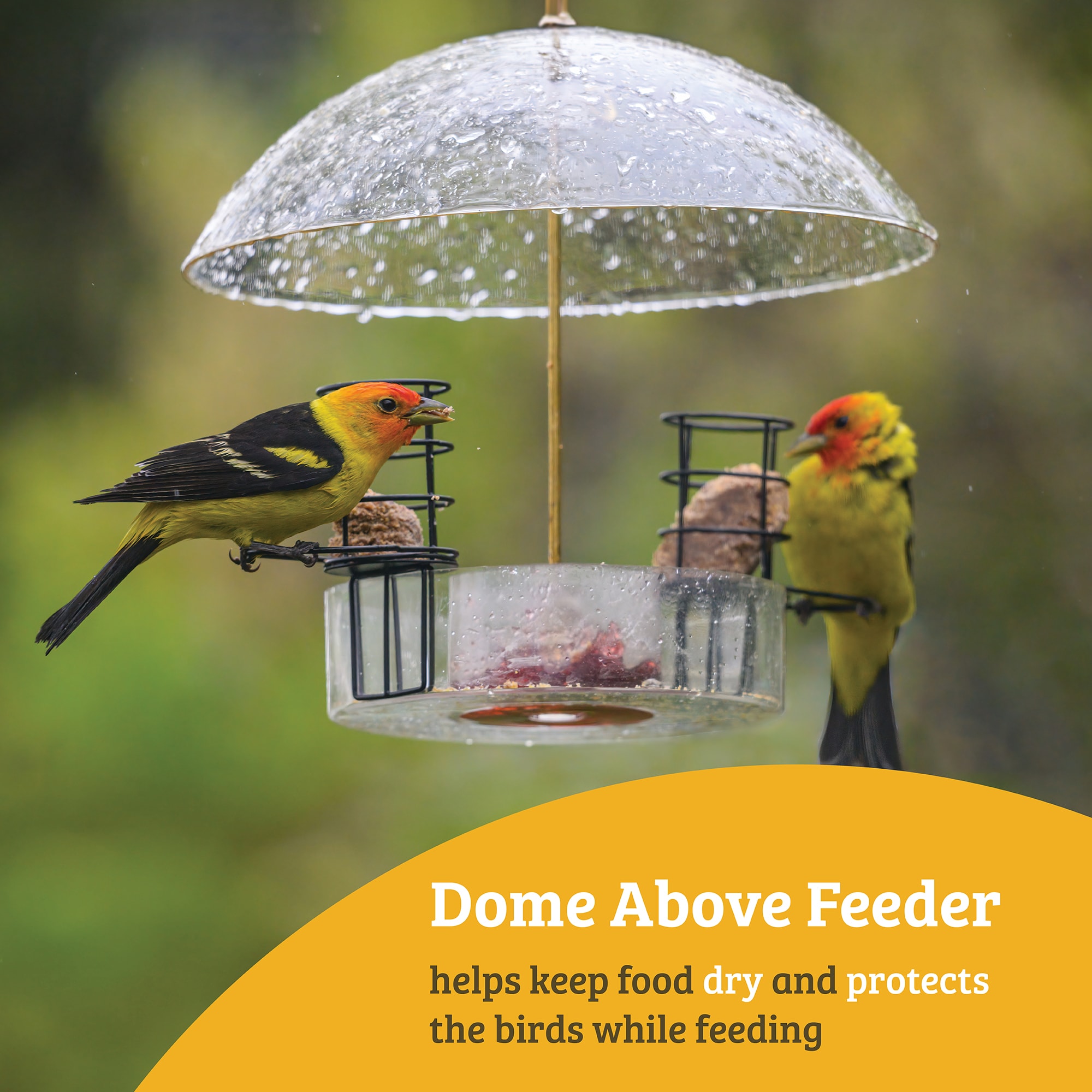 BIRDS CHOICE NP3005 Bird-Feeder-Accessories - View #5