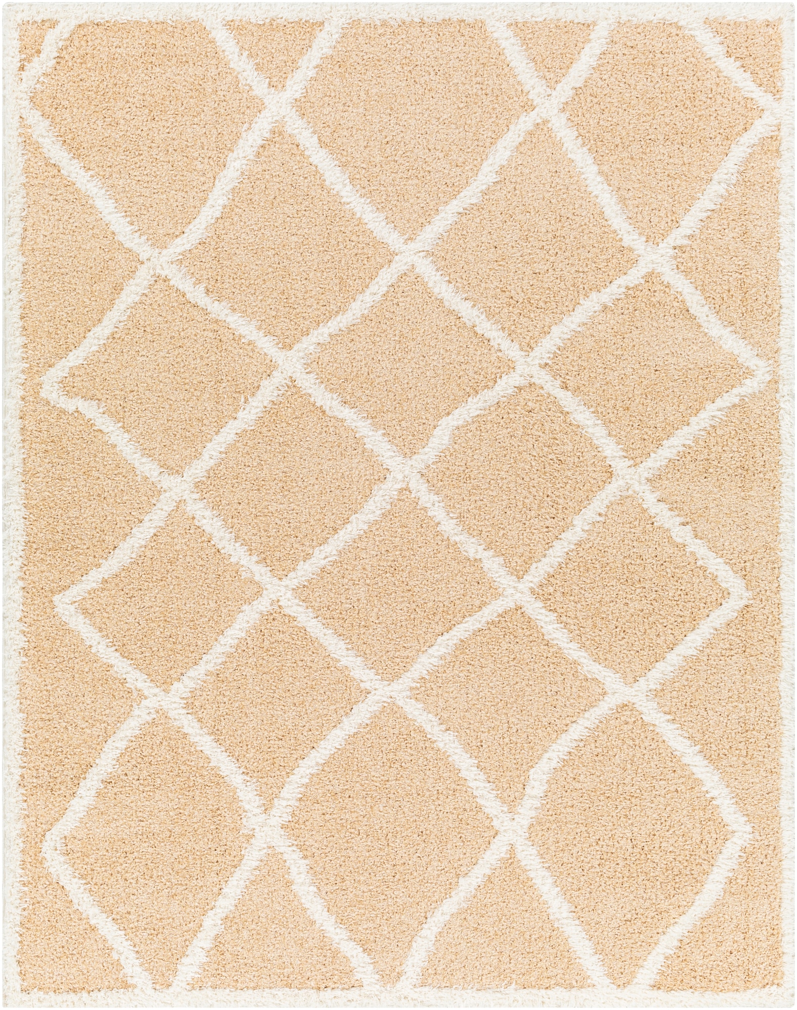 Livabliss RDO2302-537 Rodos 5 x 8 (ft) Polyester Apricot Rectangular Indoor Tribal Moroccan Area rug