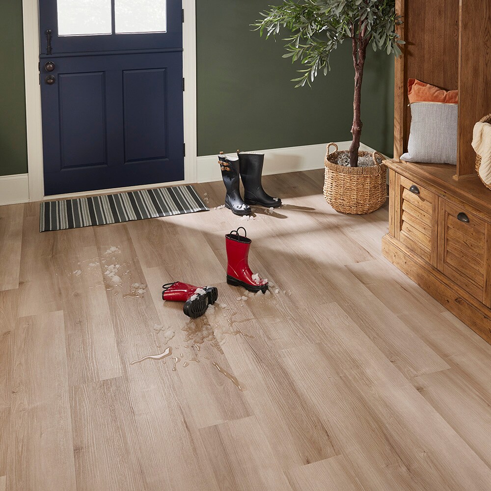 STAINMASTER (Sample) Ellyn Hickory Brown Wood Look 12-mil Waterproof ...