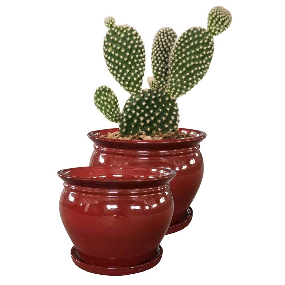 Southern Patio CRM-031055P2 Planter-Window-Box - View #9