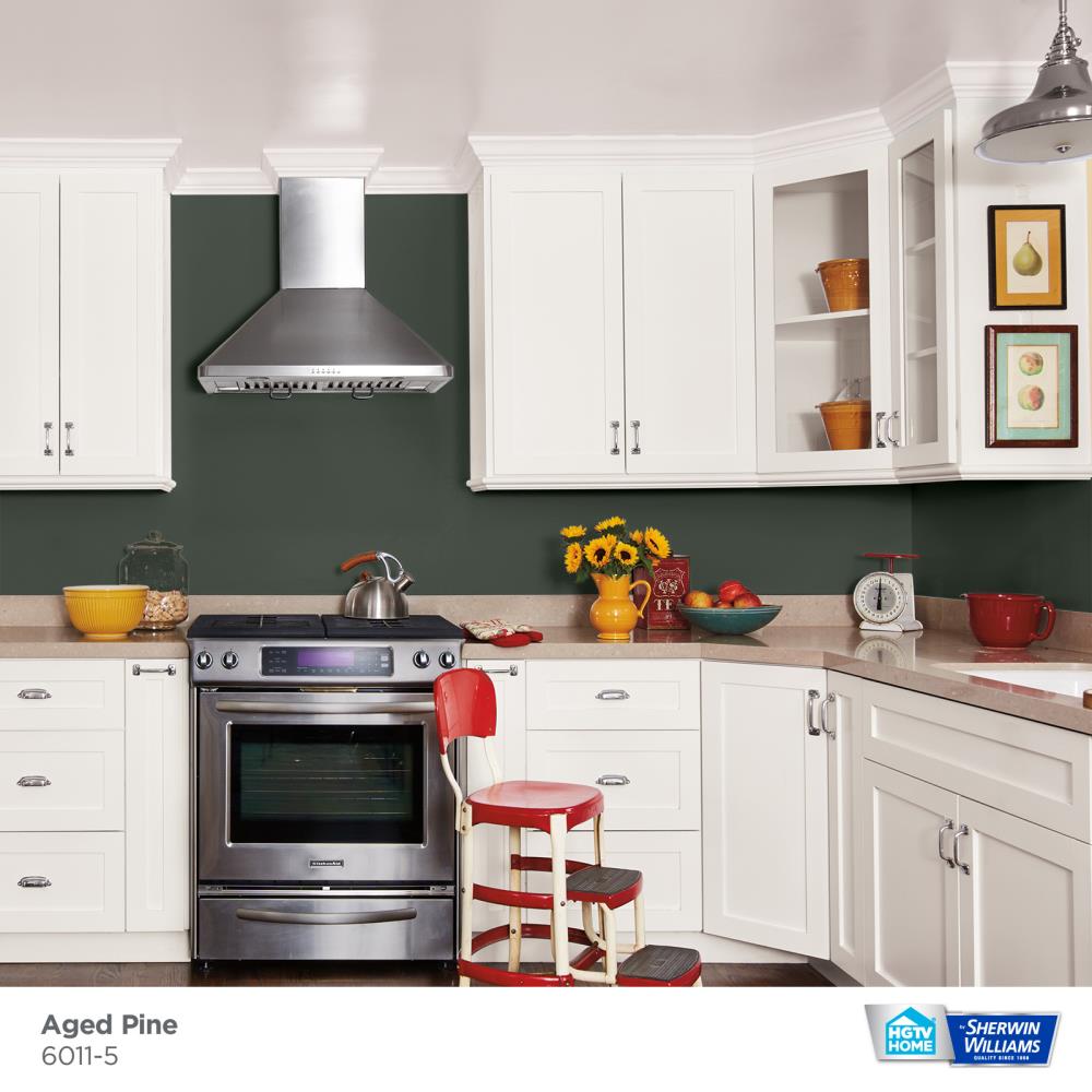HGTV HOME by Sherwin-Williams 6011-5-2557206 Int-Ext-Paint - View #2