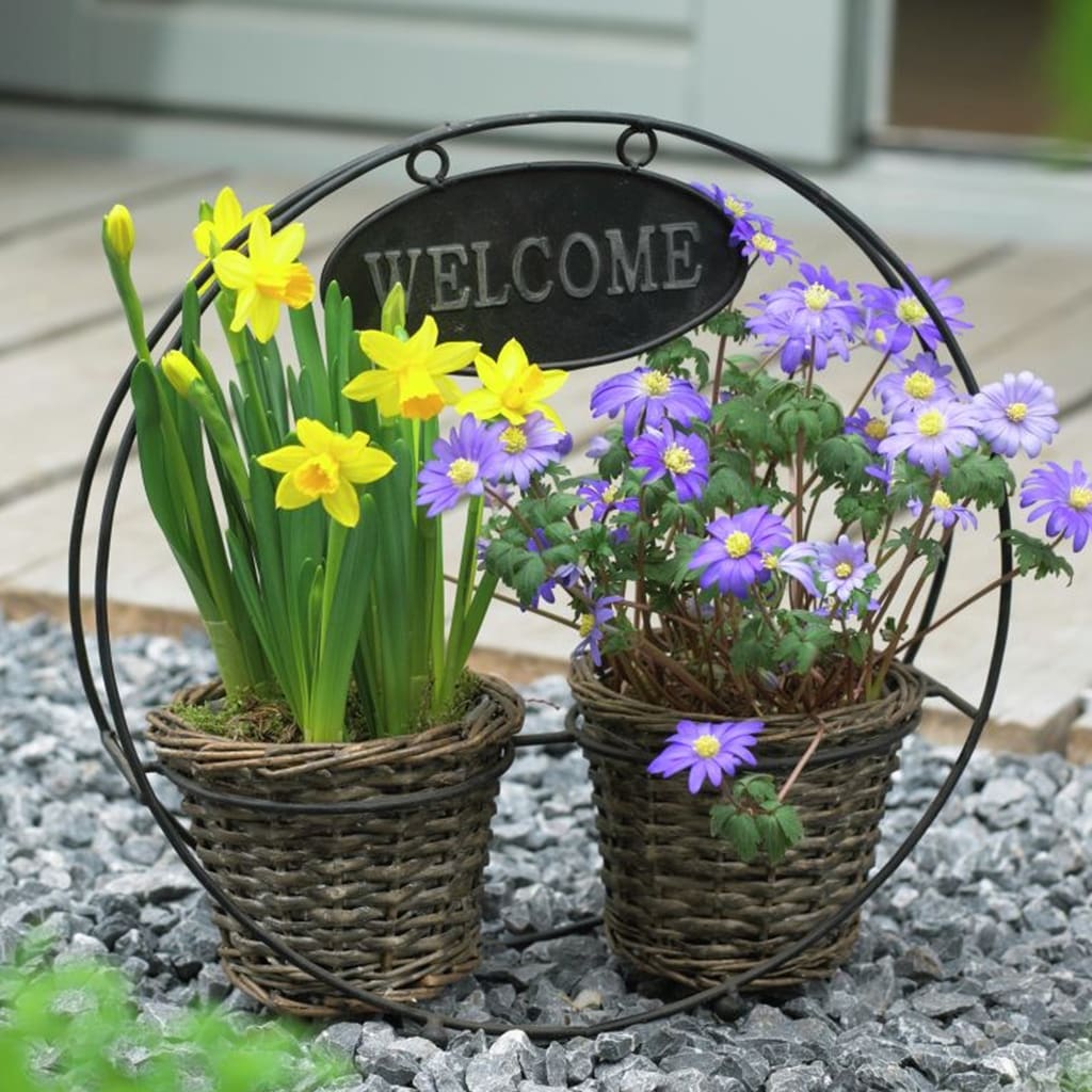  21494 25-Count Welcome Container Garden Bulbs