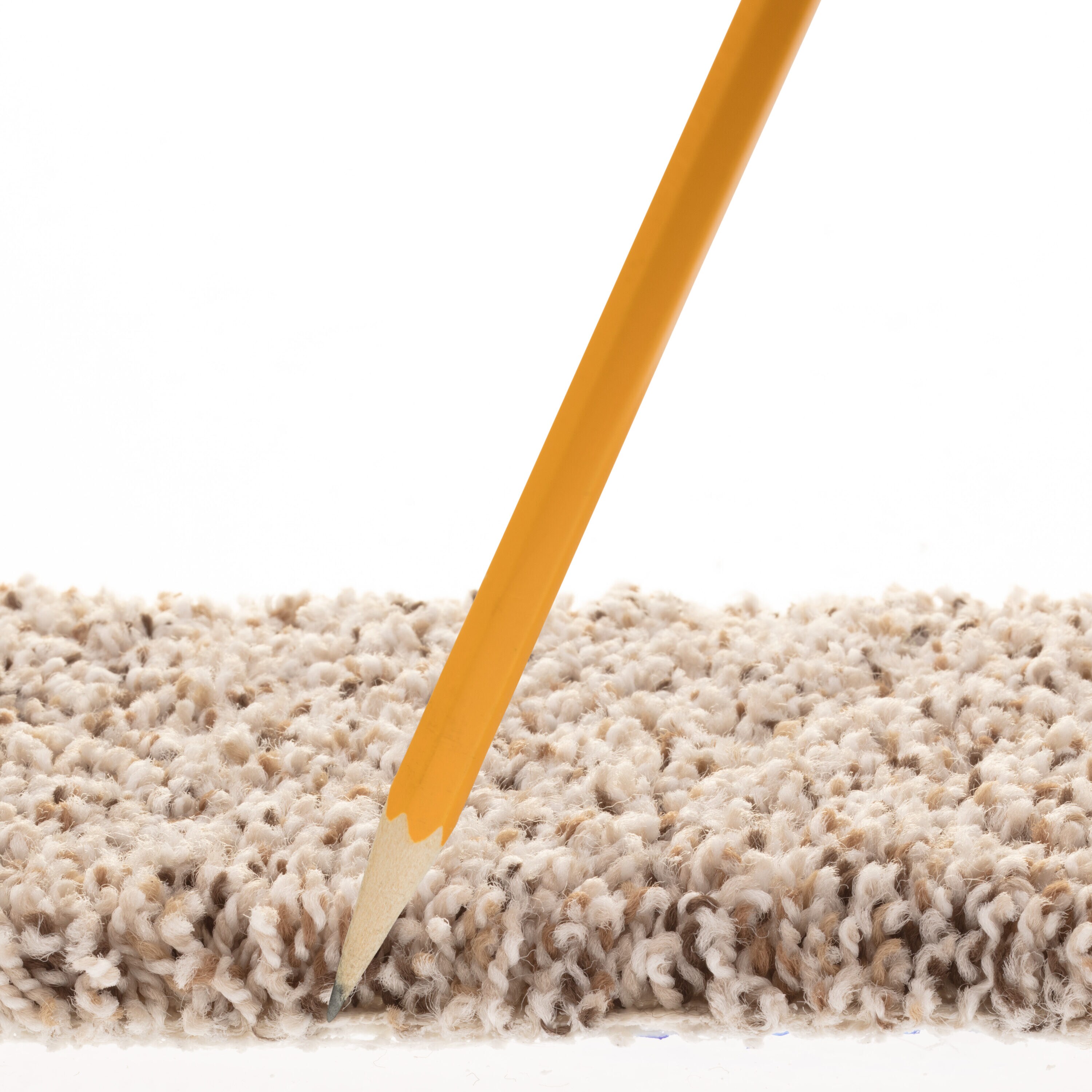 STAINMASTER 7L911 - 171 - SAMP Carpet-Samples - View #7