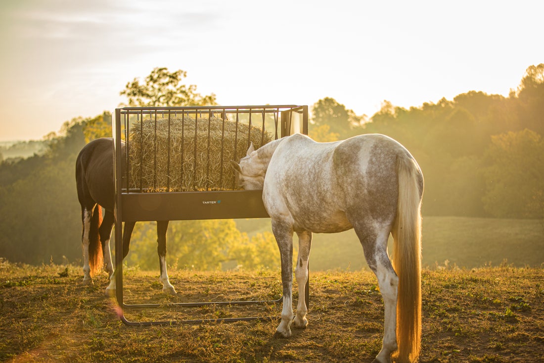Tarter HHGF Farm-Ranch-Feeders - View #2