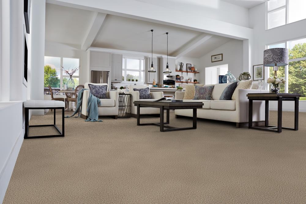 STAINMASTER DL047-416S Carpet-Samples - View #2