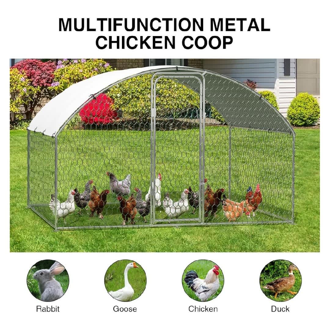Qeetex GGL-PHO-33J6WVRX Chicken-Coops-Rabbit-Hutches - View #5