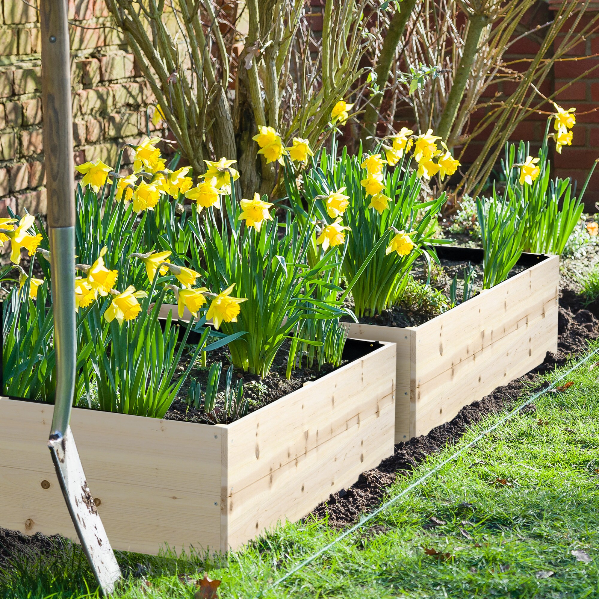 Damerin W243RA Raised-Garden-Beds - View #4