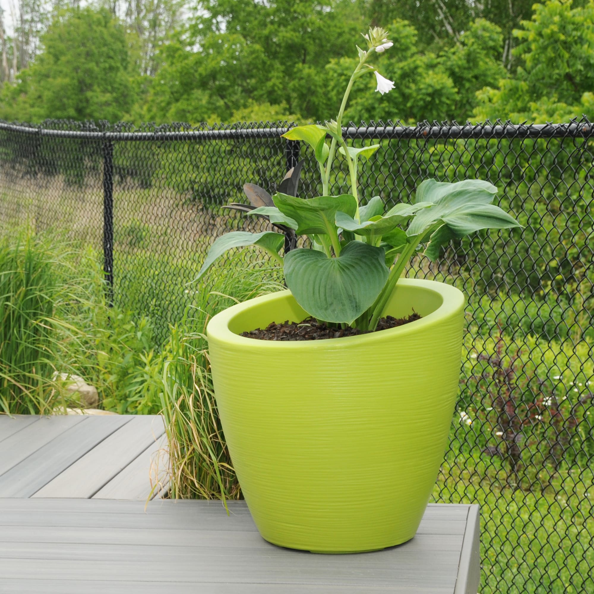 Mayne Modesto 20in Round Planter - Macaw Green