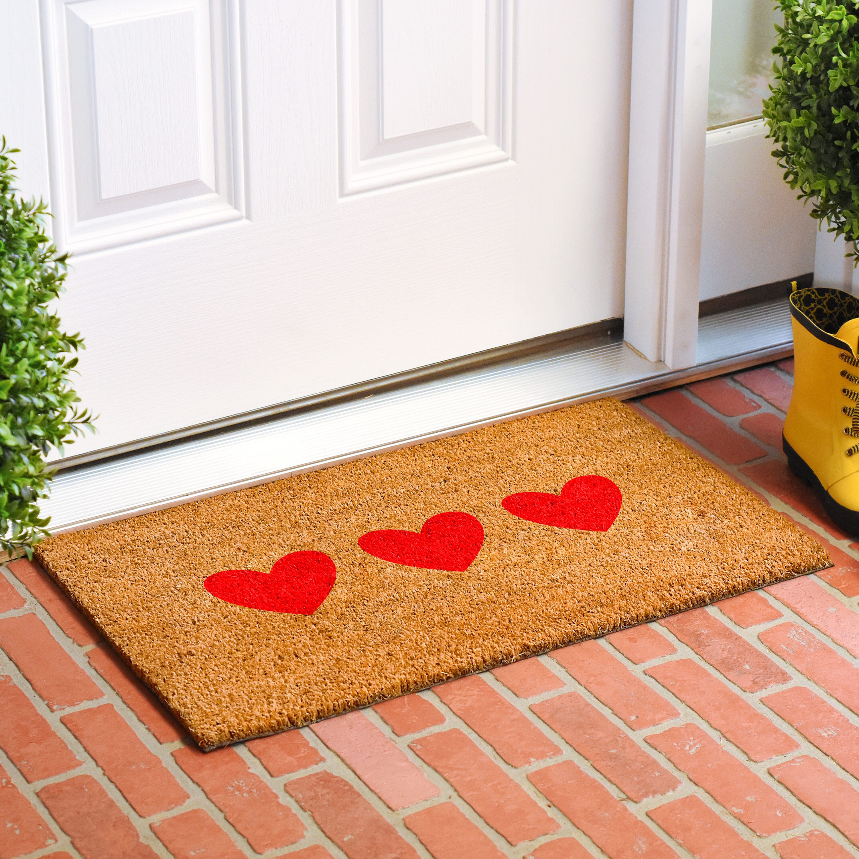 Callowaymills 112273672 Mats-Cat - View #2