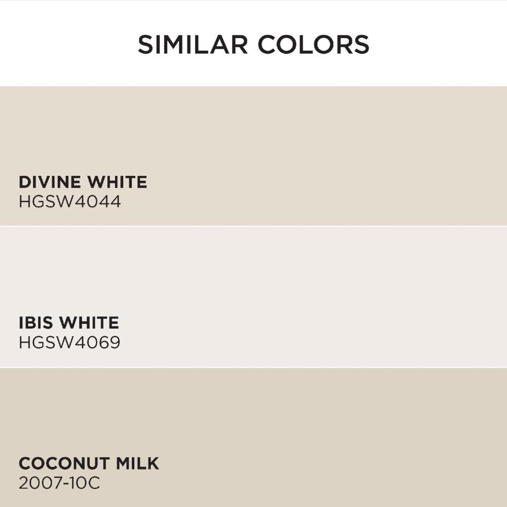 HGTV HOME by Sherwin-Williams 2005-10C-2557210 Int-Ext-Paint - View #6