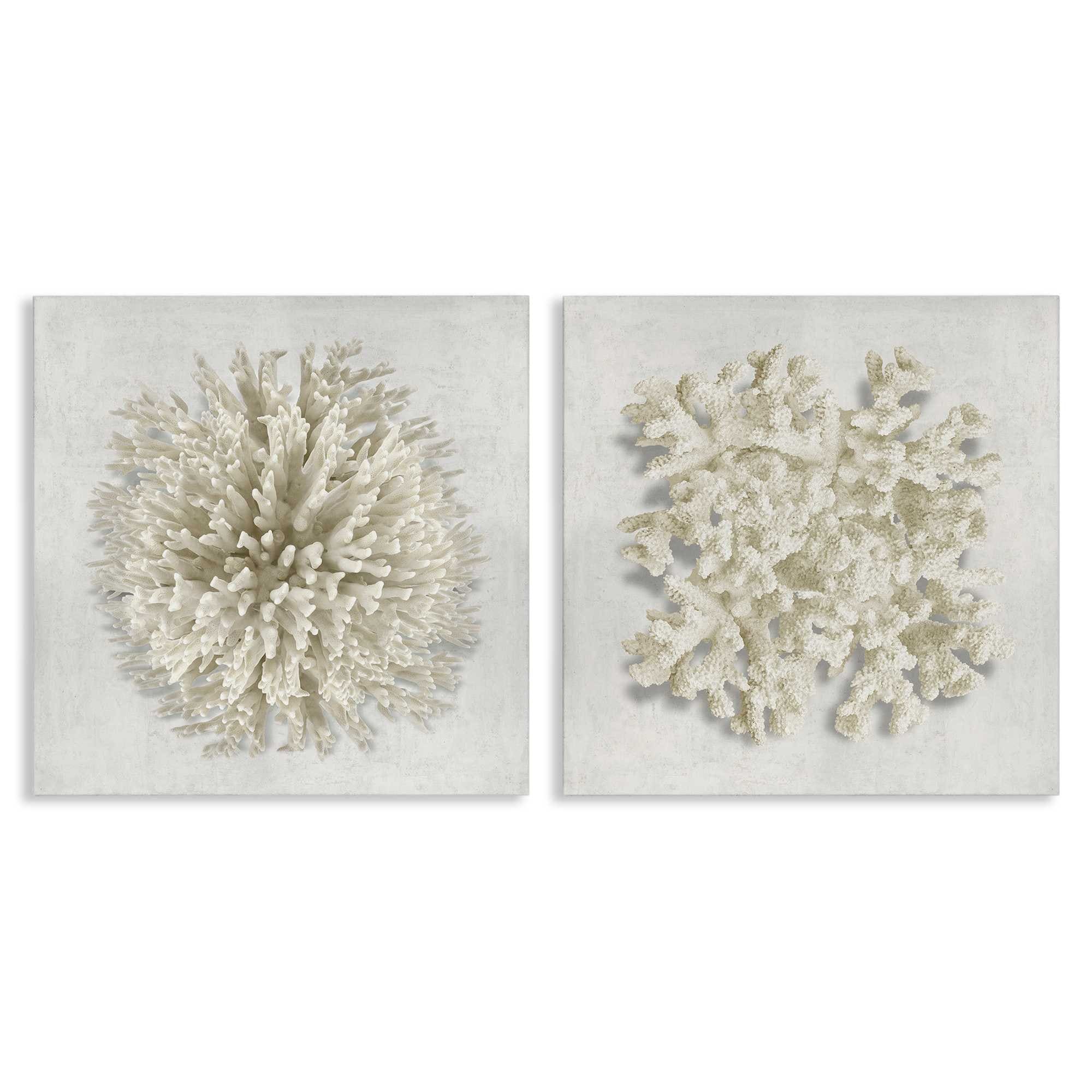 Stupell Industries B2-786-CN-2PC-17X17 Distinct Natural Coral 2 Piece Canvas Wall Art Set By Caroline Kelly 17 x 17