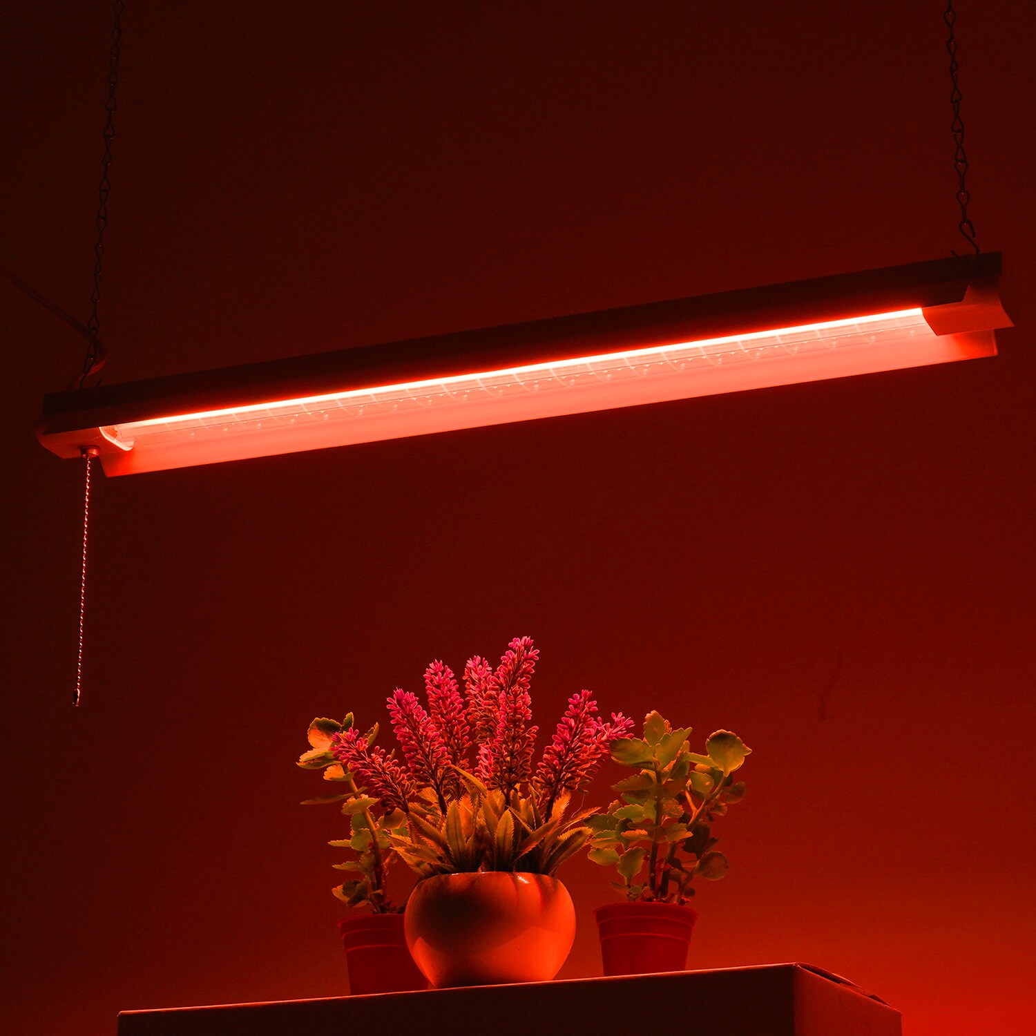 Zone Z-B2133-GRSP-C Grow-Lights - View #5