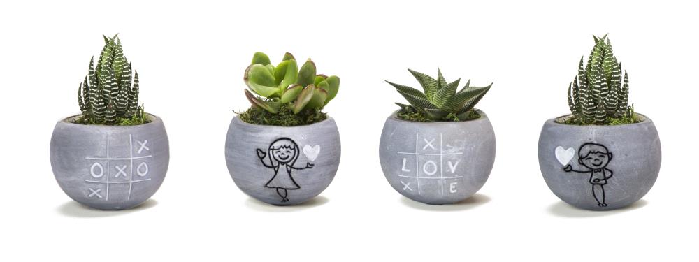 LiveTrends LIFE MAGNETIC XO SET No Flowers Succulents in 4-Pack Magnets