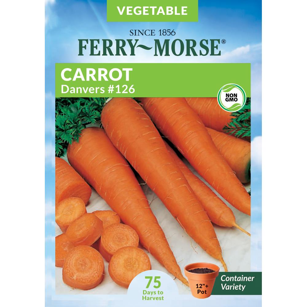 Ferry-Morse 554400.178.906537 2.25-Gram Carrot Danvers 126 Vegetables (Seed Packet)