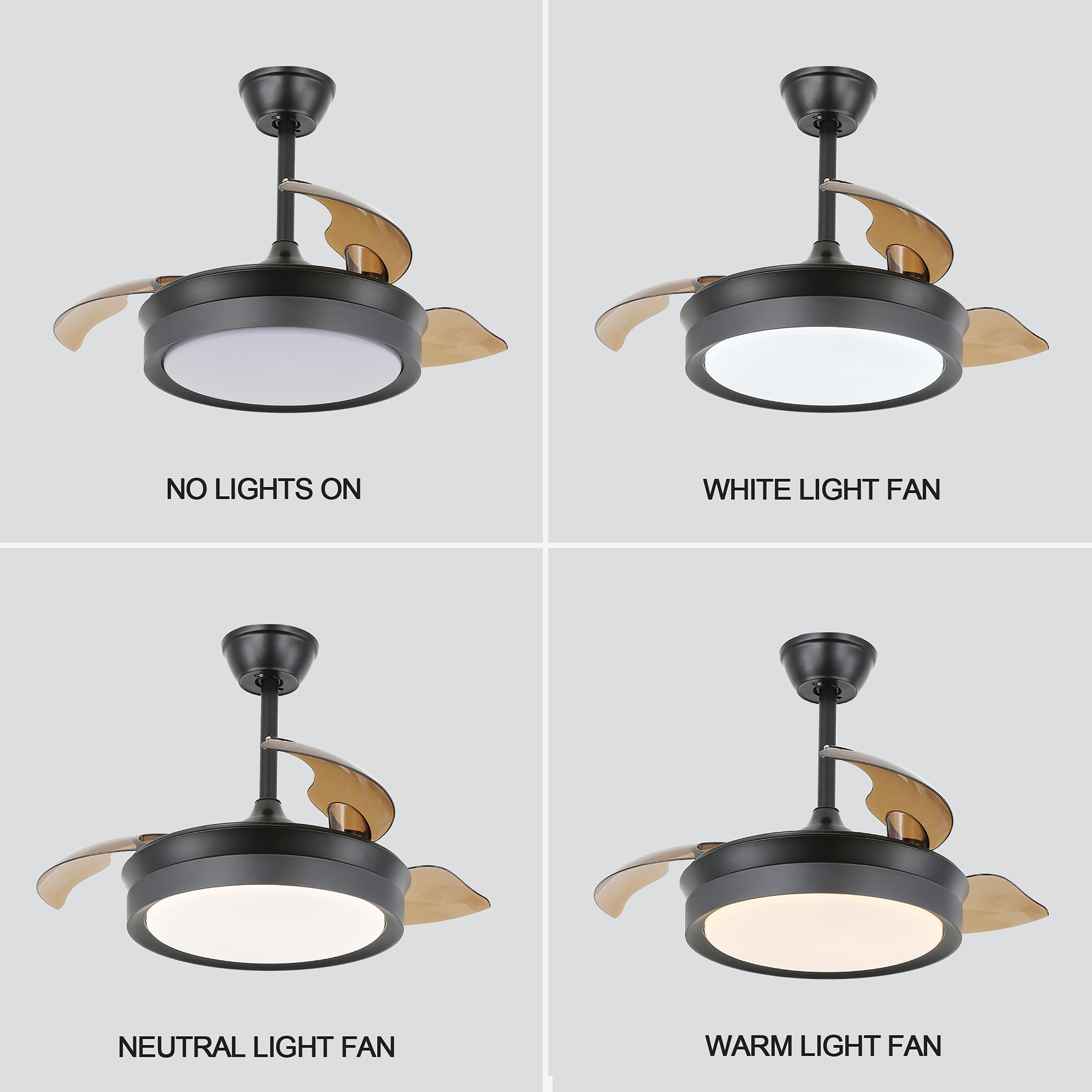 Bella Depot BD3605-B Ceiling-Fans - View #9