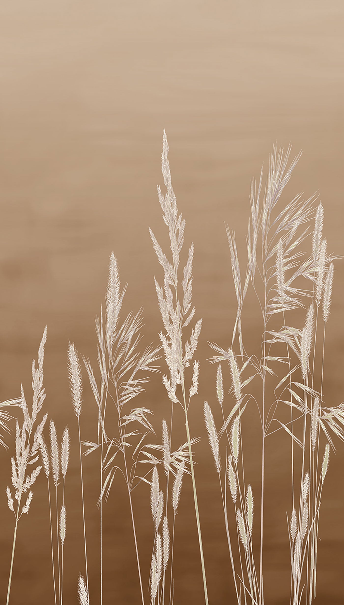 Veer Decor Willow Grass Brown Wall Mural