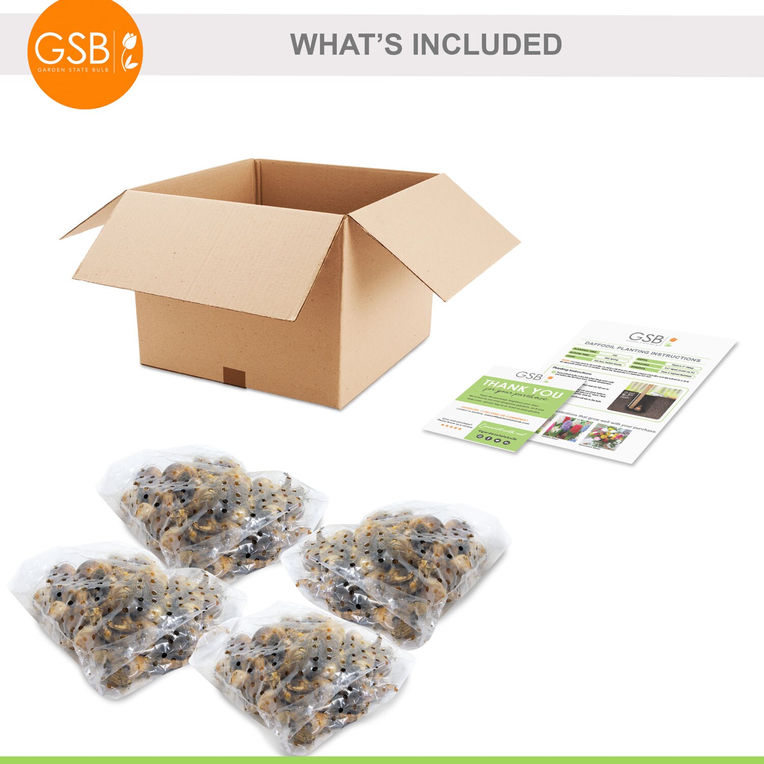 Garden State Bulb ECF-111-100-04 Plant-Bulbs - View #7