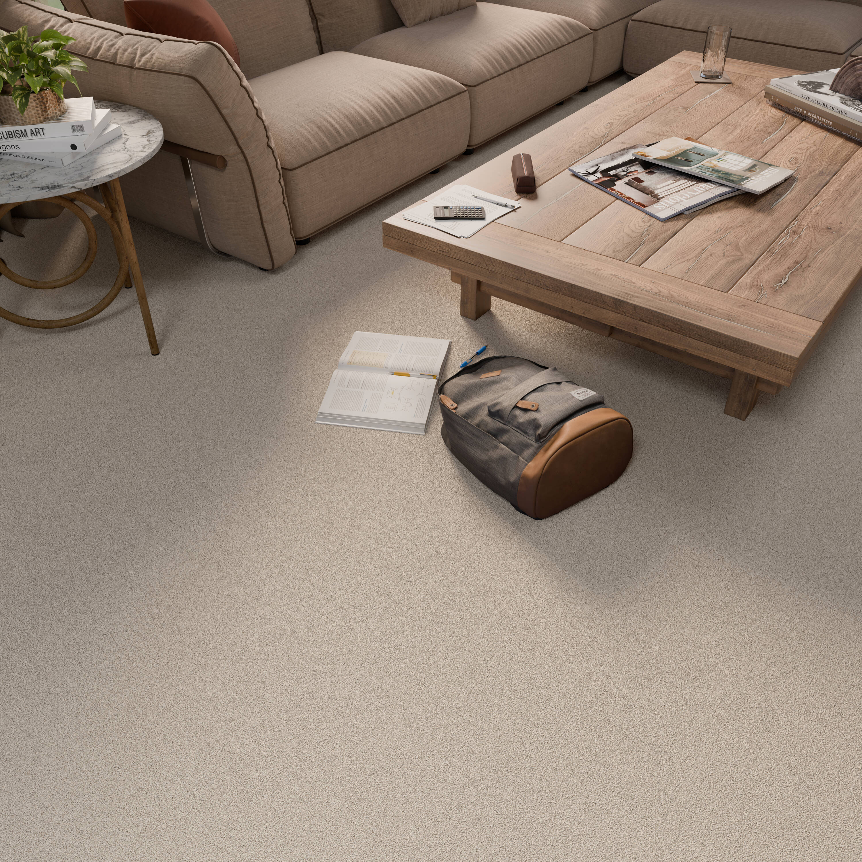 STAINMASTER PetProtect 7L972-101-SAMP Carpet-Samples - View #5