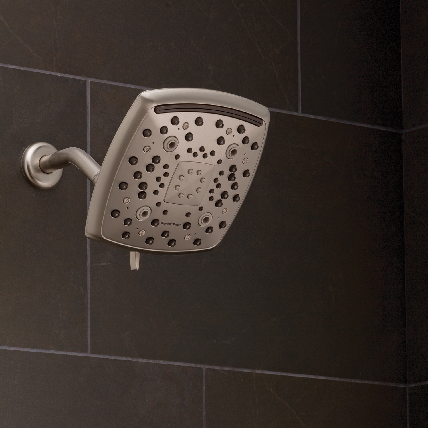 Oxygenics 54588 Fixed-Showerhead - View #3