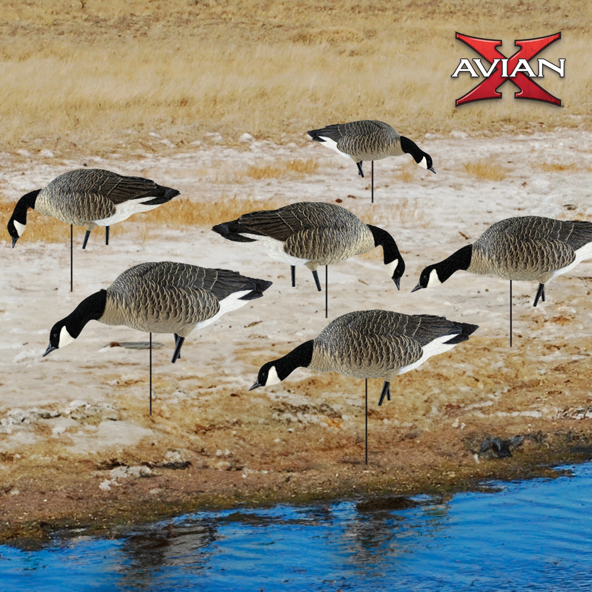 Avian X 3 X AVX-AVX9007 Hunting-Equipment - View #7